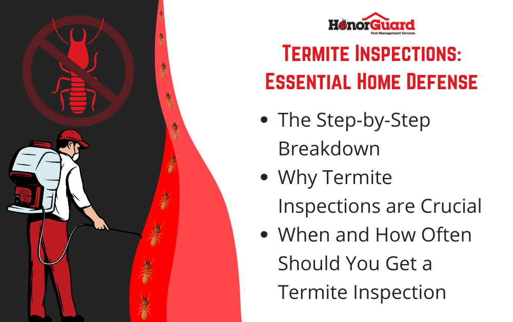 Honor Guard Infographic (Termite Inspection)