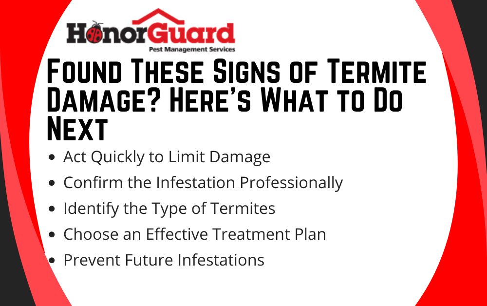 signs of termite damage