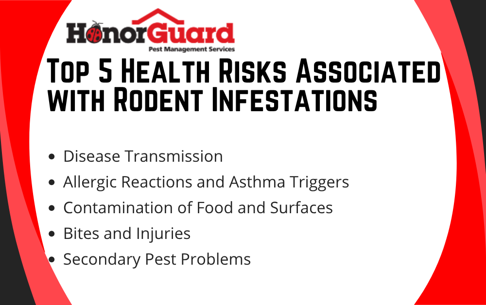 rodent control services